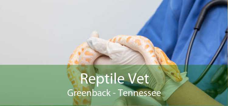 Reptile Vet Greenback - Tennessee