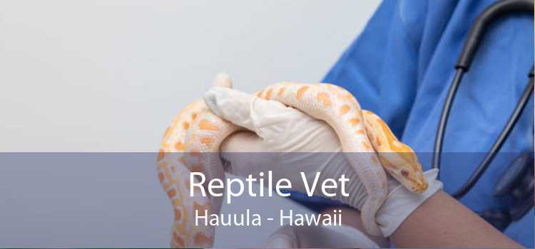Reptile Vet Hauula - Hawaii