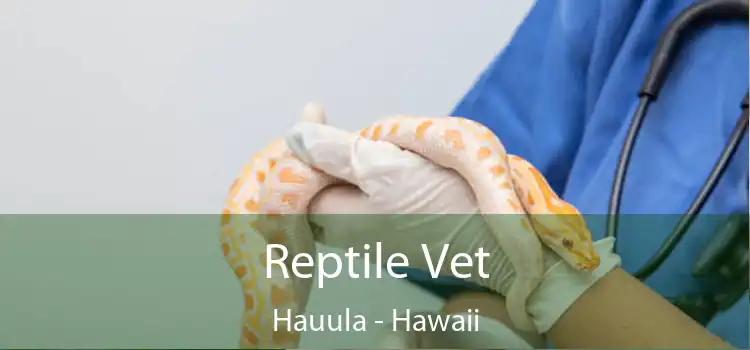 Reptile Vet Hauula - Hawaii