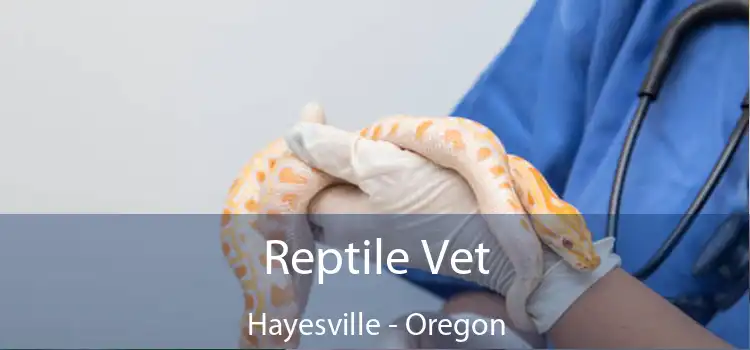 Reptile Vet Hayesville - Oregon
