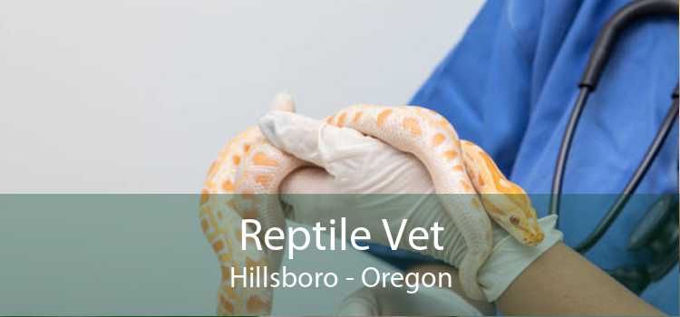 Reptile Vet Hillsboro - Oregon