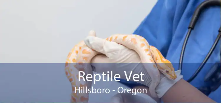 Reptile Vet Hillsboro - Oregon