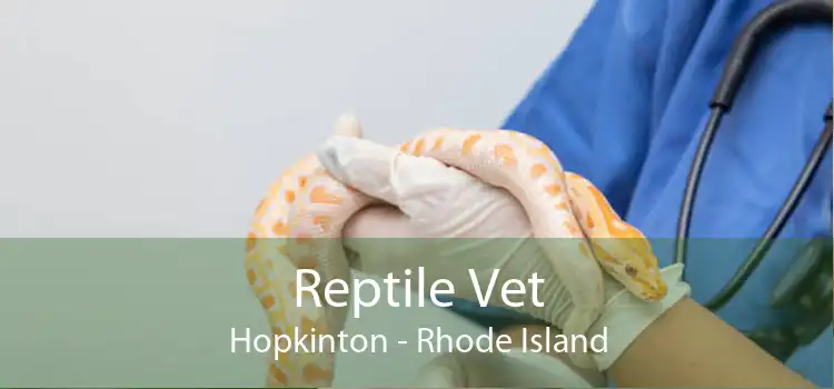 Reptile Vet Hopkinton - Rhode Island