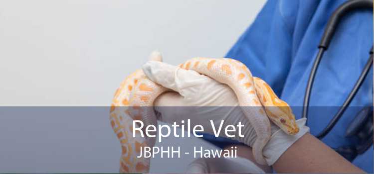 Reptile Vet JBPHH - Hawaii