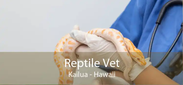 Reptile Vet Kailua - Hawaii