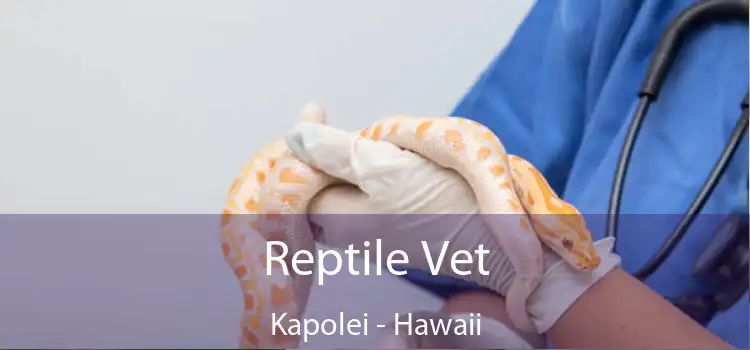 Reptile Vet Kapolei - Hawaii