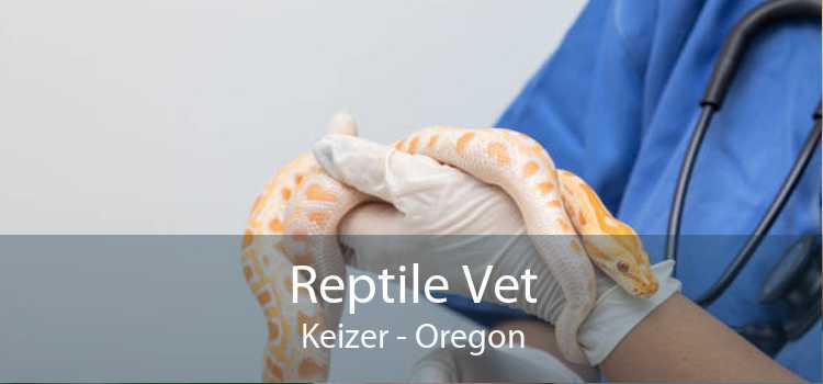 Reptile Vet Keizer - Oregon