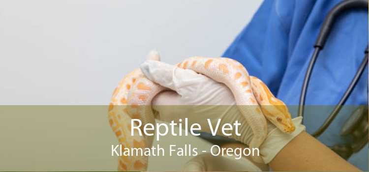 Reptile Vet Klamath Falls - Oregon