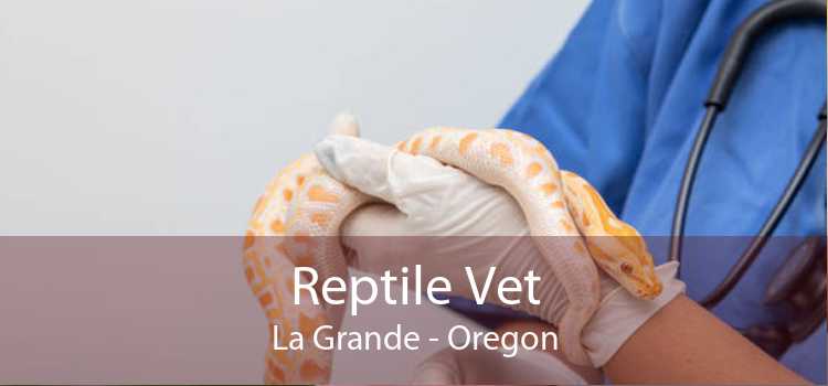 Reptile Vet La Grande - Oregon