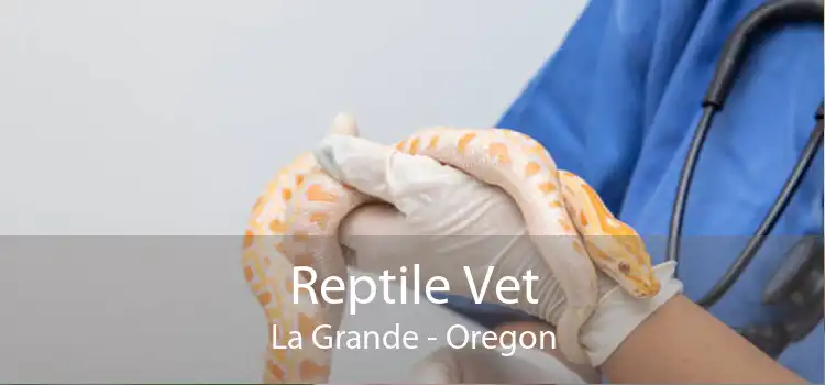 Reptile Vet La Grande - Oregon