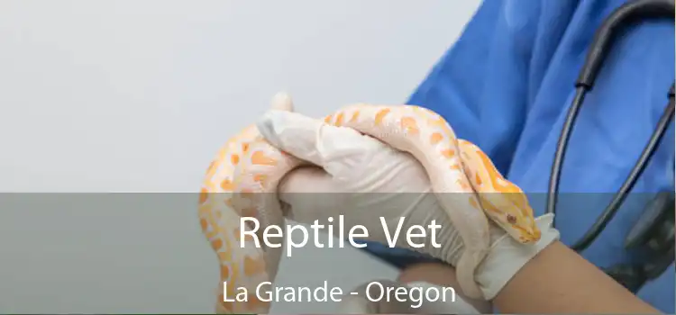 Reptile Vet La Grande - Oregon