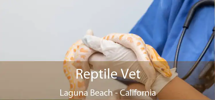 Reptile Vet Laguna Beach - California