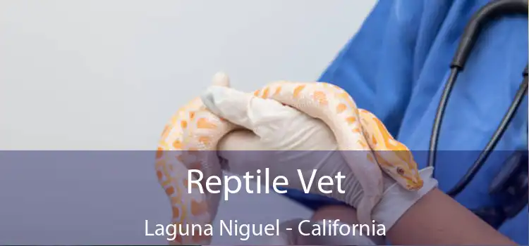 Reptile Vet Laguna Niguel - California