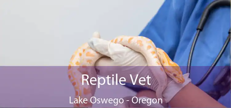 Reptile Vet Lake Oswego - Oregon