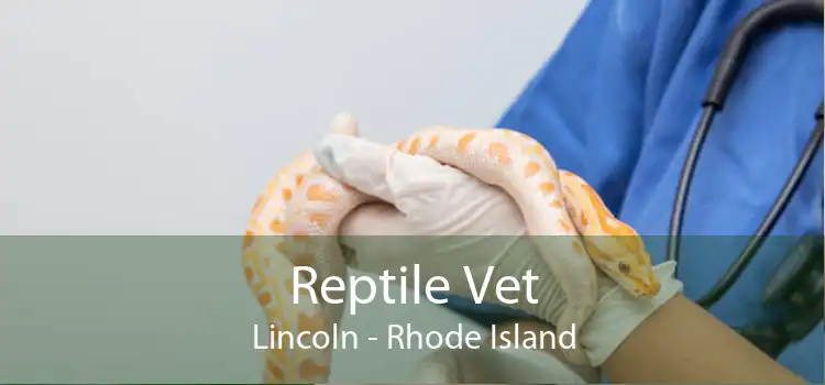 Reptile Vet Lincoln - Rhode Island