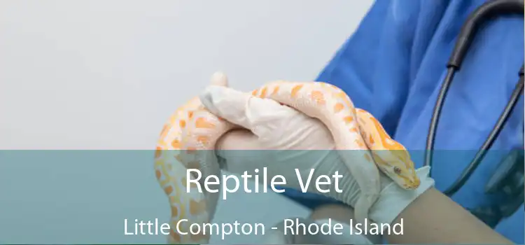 Reptile Vet Little Compton - Rhode Island