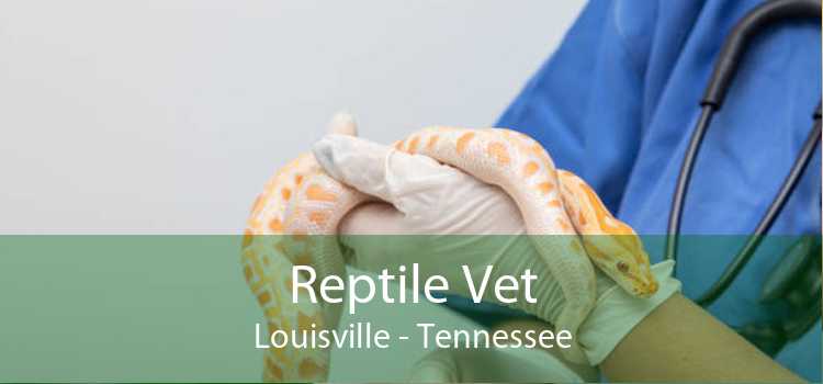 Reptile Vet Louisville - Tennessee