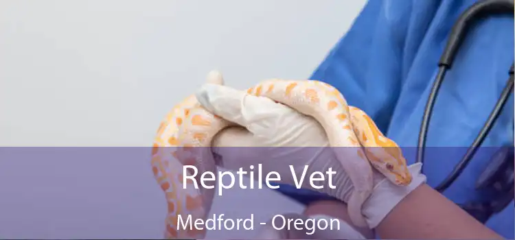 Reptile Vet Medford - Oregon