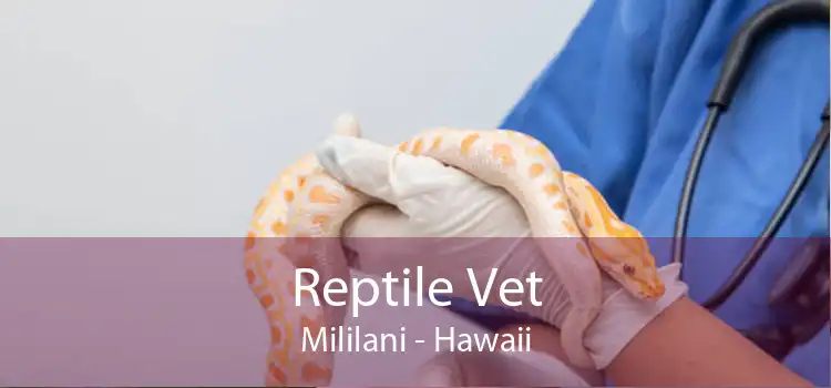Reptile Vet Mililani - Hawaii