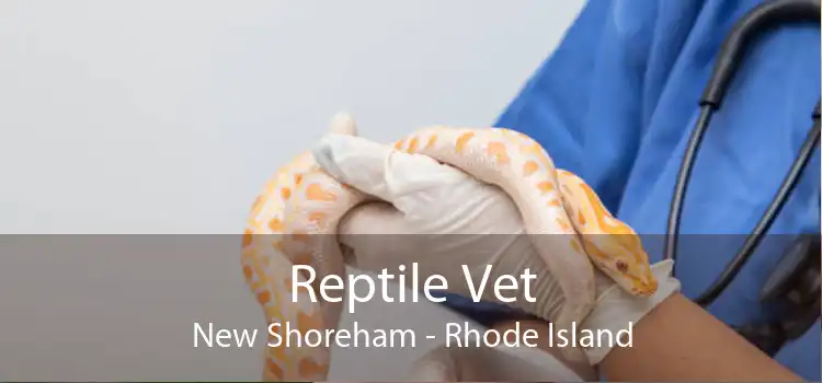 Reptile Vet New Shoreham - Rhode Island