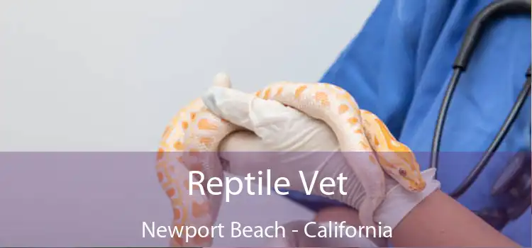 Reptile Vet Newport Beach - California