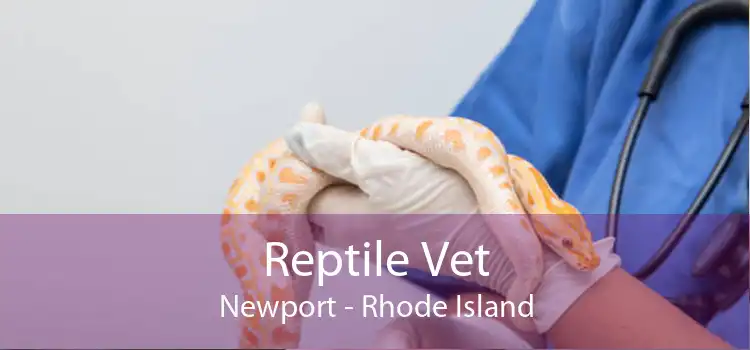 Reptile Vet Newport - Rhode Island