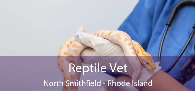 Reptile Vet North Smithfield - Rhode Island