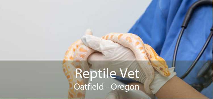 Reptile Vet Oatfield - Oregon