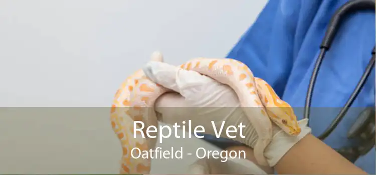 Reptile Vet Oatfield - Oregon