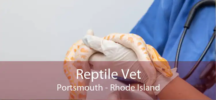 Reptile Vet Portsmouth - Rhode Island