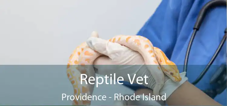 Reptile Vet Providence - Rhode Island