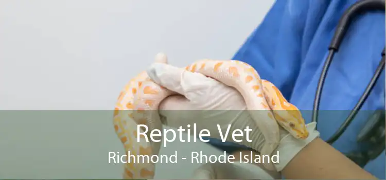 Reptile Vet Richmond - Rhode Island