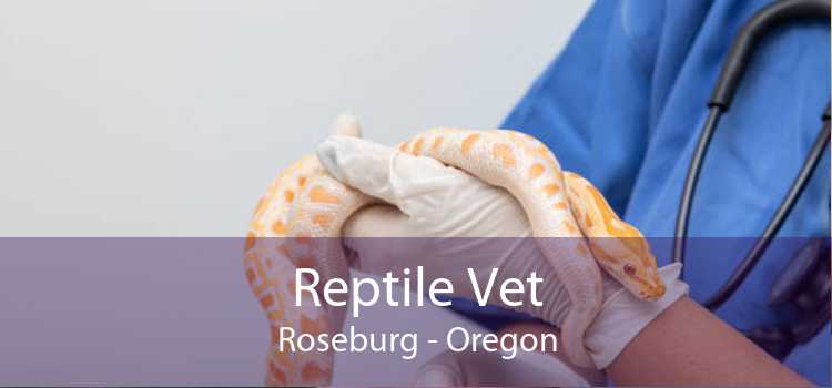 Reptile Vet Roseburg - Oregon