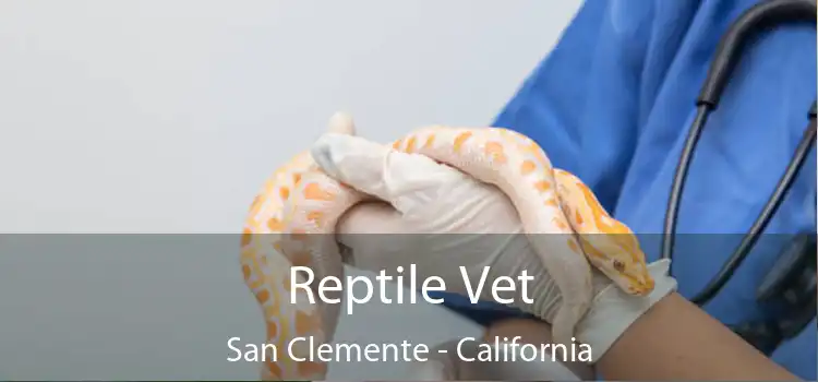 Reptile Vet San Clemente - California