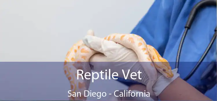 Reptile Vet San Diego - California