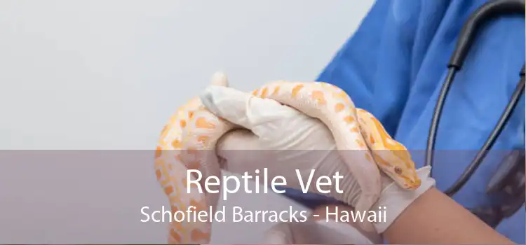 Reptile Vet Schofield Barracks - Hawaii