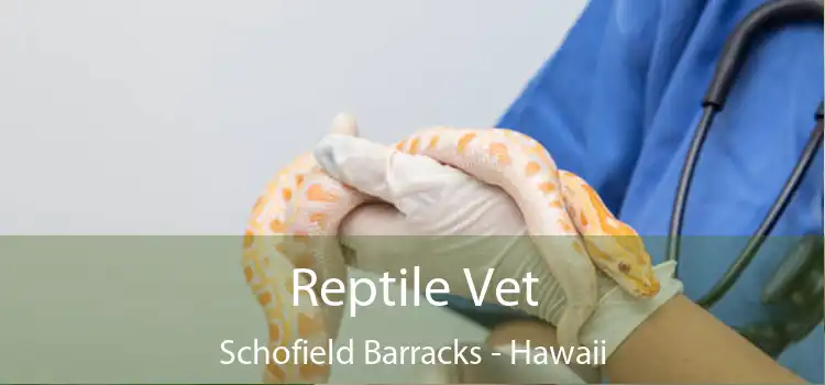 Reptile Vet Schofield Barracks - Hawaii