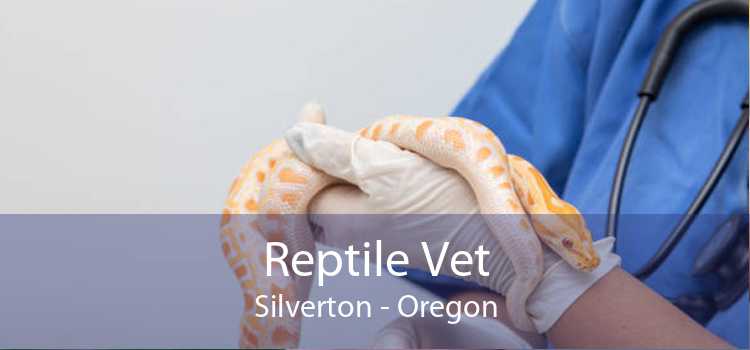 Reptile Vet Silverton - Oregon