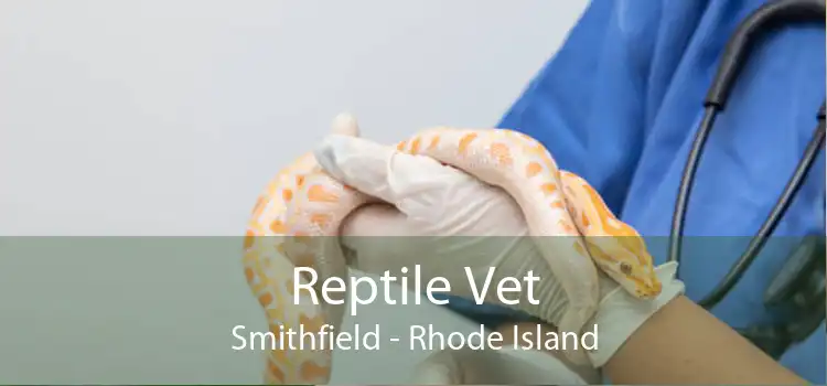 Reptile Vet Smithfield - Rhode Island