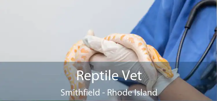 Reptile Vet Smithfield - Rhode Island