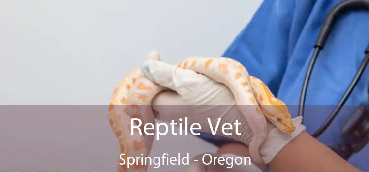 Reptile Vet Springfield - Oregon