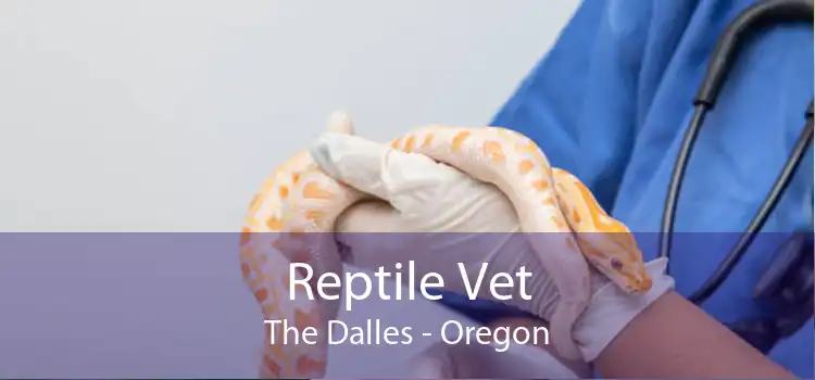 Reptile Vet The Dalles - Oregon