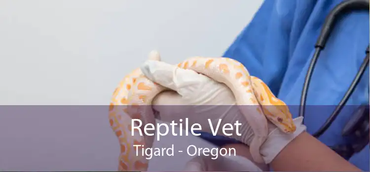 Reptile Vet Tigard - Oregon