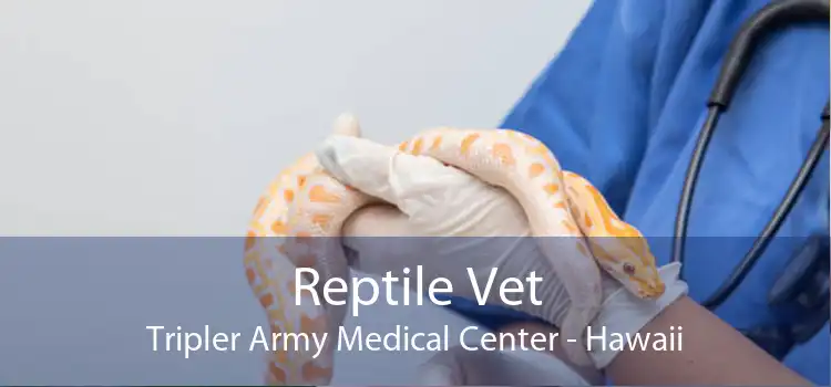 Reptile Vet Tripler Army Medical Center - Hawaii