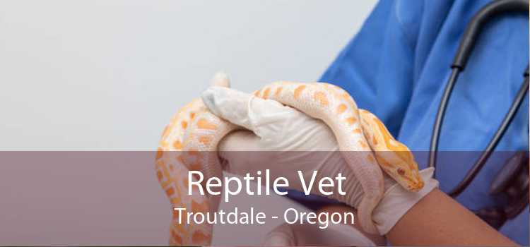 Reptile Vet Troutdale - Oregon