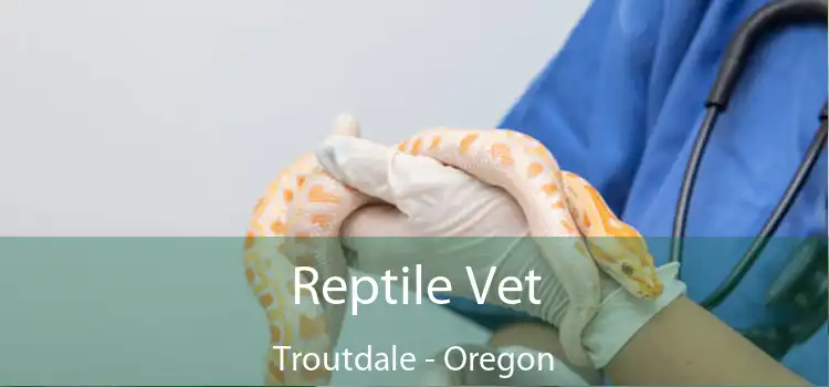 Reptile Vet Troutdale - Oregon