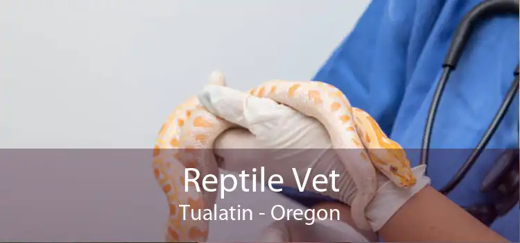Reptile Vet Tualatin - Oregon