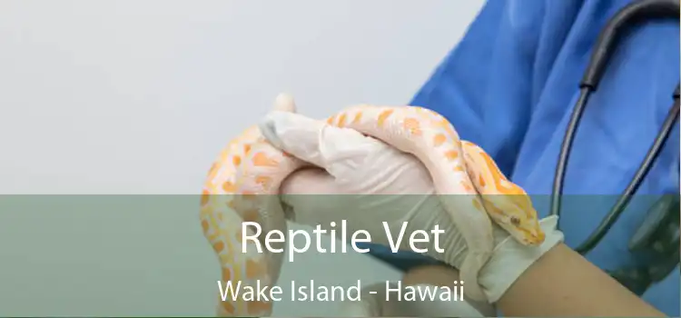 Reptile Vet Wake Island - Hawaii