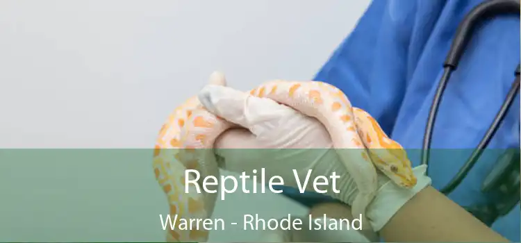 Reptile Vet Warren - Rhode Island