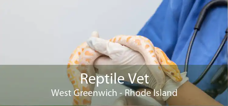 Reptile Vet West Greenwich - Rhode Island